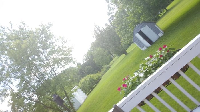 Ideas for a Hallowedding - 2