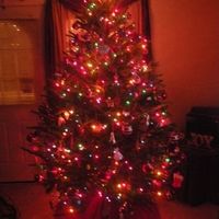 NWR - Lets See your Christmas Trees!!!!!