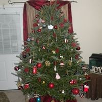 NWR - Lets See your Christmas Trees!!!!!
