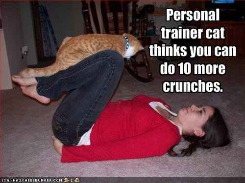 Workout Kitty Says If You See Me