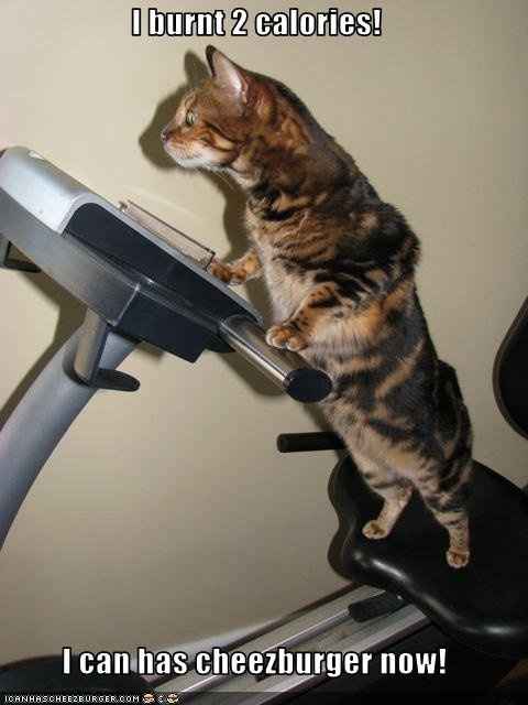 Workout Kitty Says If You See Me