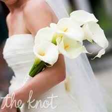 White on white??