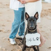 National Puppy Day! - 1