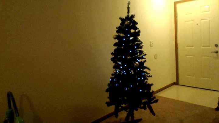 NWR - Alright, who's got their tree up?!