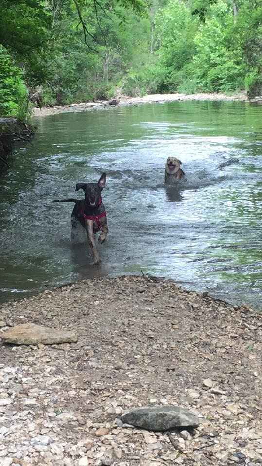 NWR: got fired today and need cheering up!