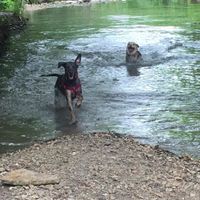 NWR: got fired today and need cheering up!