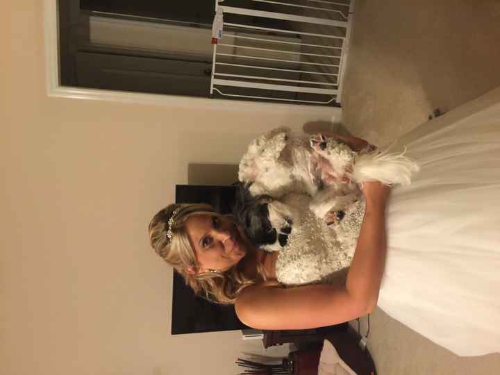 Non-Pro BAM!!  8 days of bliss so far!!!