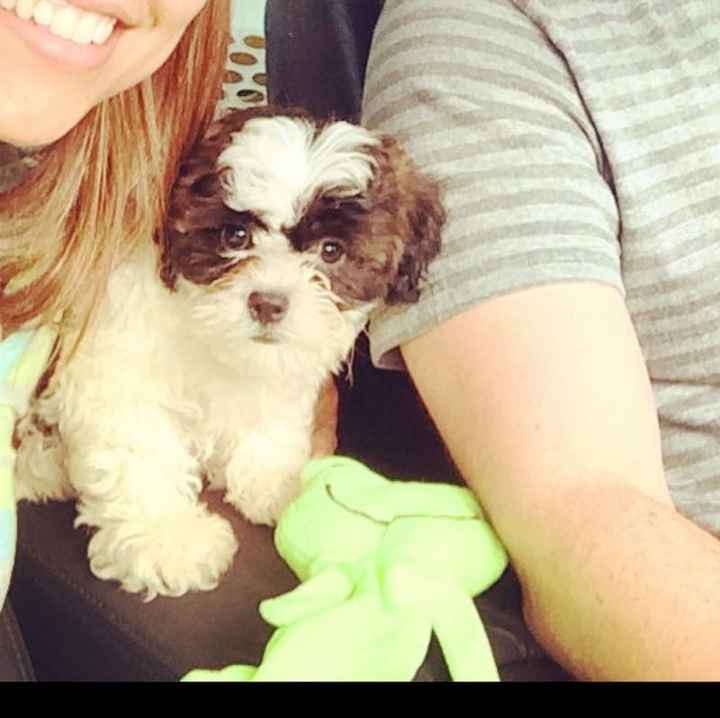 NWR- we are expecting!