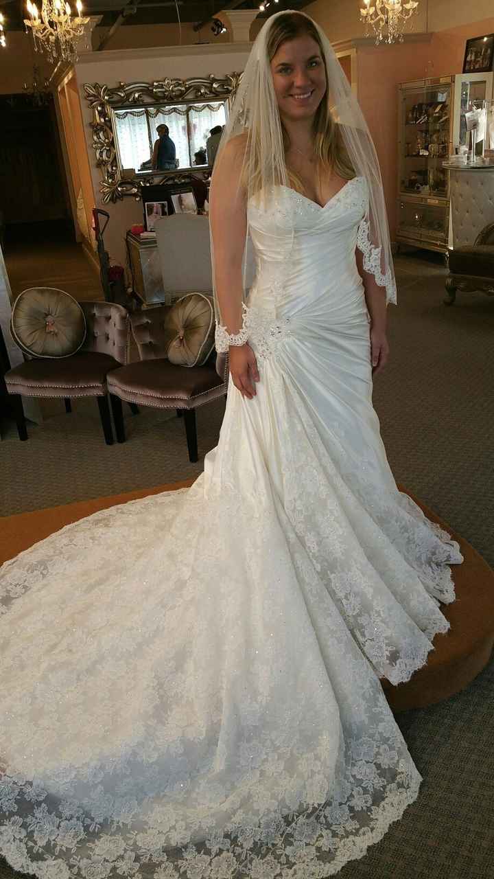 Need help with a veil and/or blusher!