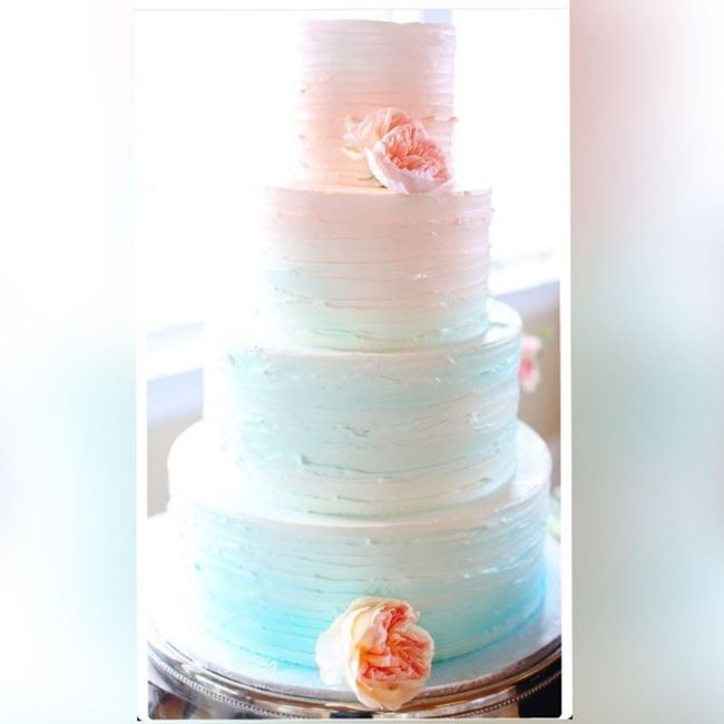 CAKE CAKE CAKE