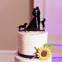 Dog in wedding