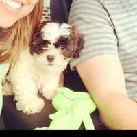 NWR- we are expecting!