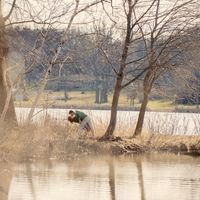 First Apartment Tips?/E-Pic