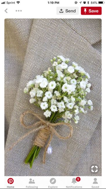 Babies Breath flowers - 1