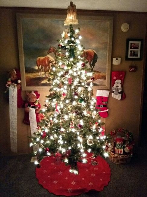 NWR: Finally finished decorating our first Christmas tree!!