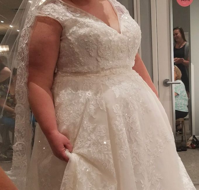 Found the Dress! Show Me Yours! 4