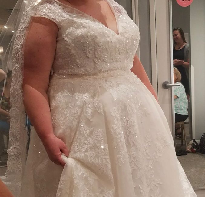 Found the Dress! Show Me Yours! 4