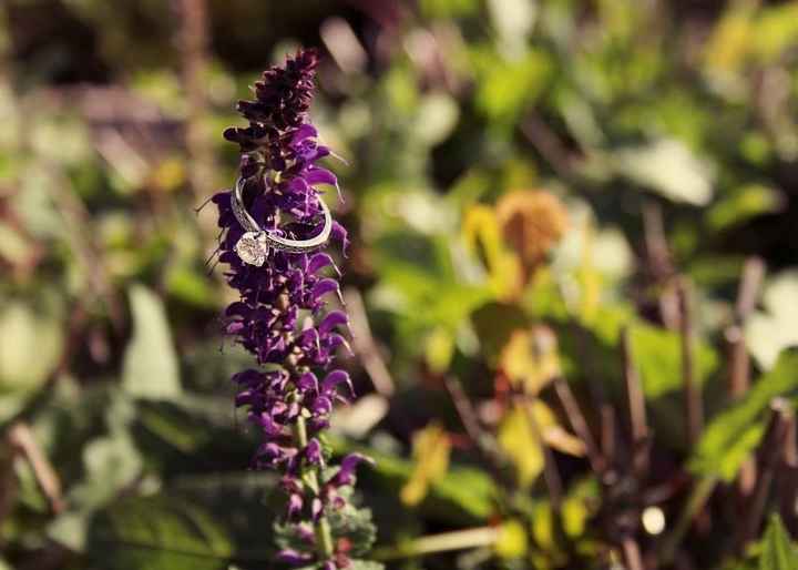 SHOW ME YOUR STUNNER