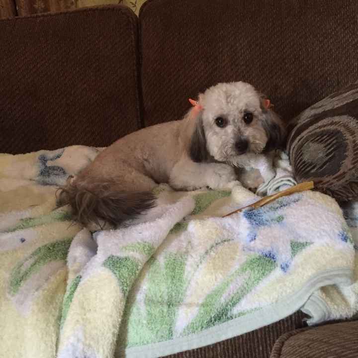 NWR- pets! We love them show me yours :)