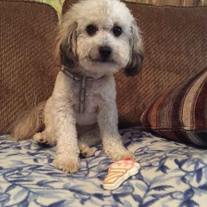 NWR- pets! We love them show me yours :)