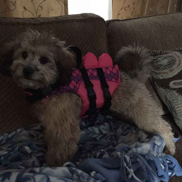 Post a pic of something that makes you happy!