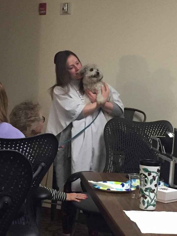 BAM: Winter Surprise Puppy Wedding - non-pro