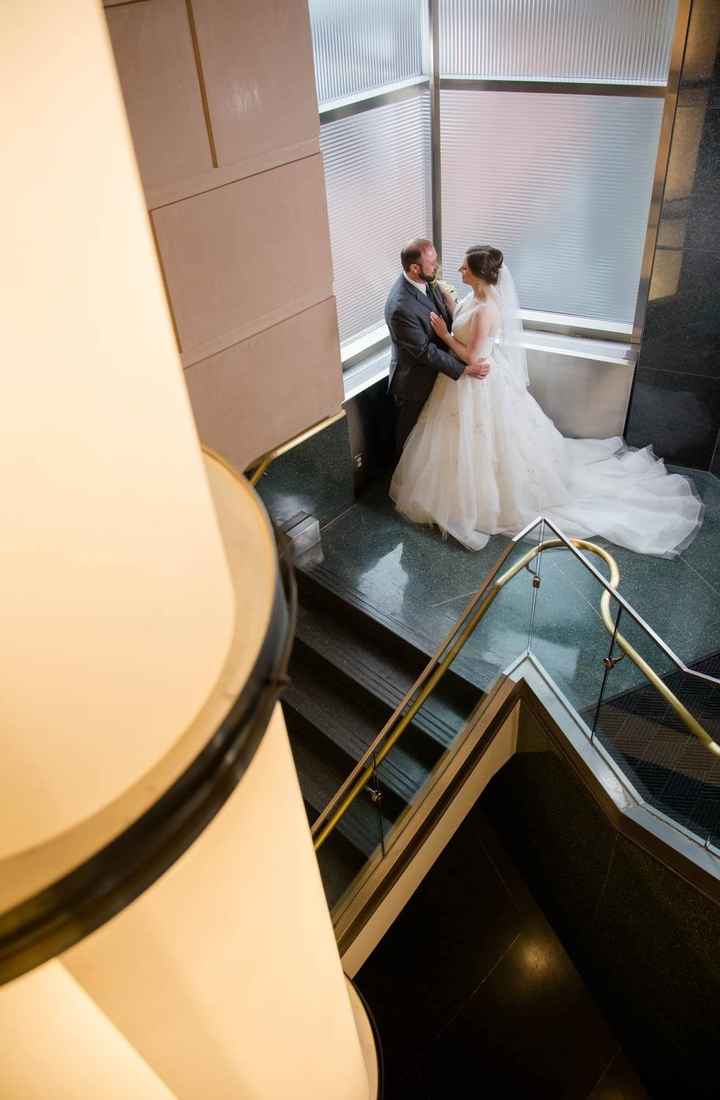 BAM: Winter Surprise Puppy Wedding - non-pro