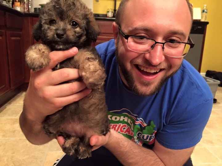 BAM: Winter Surprise Puppy Wedding - non-pro