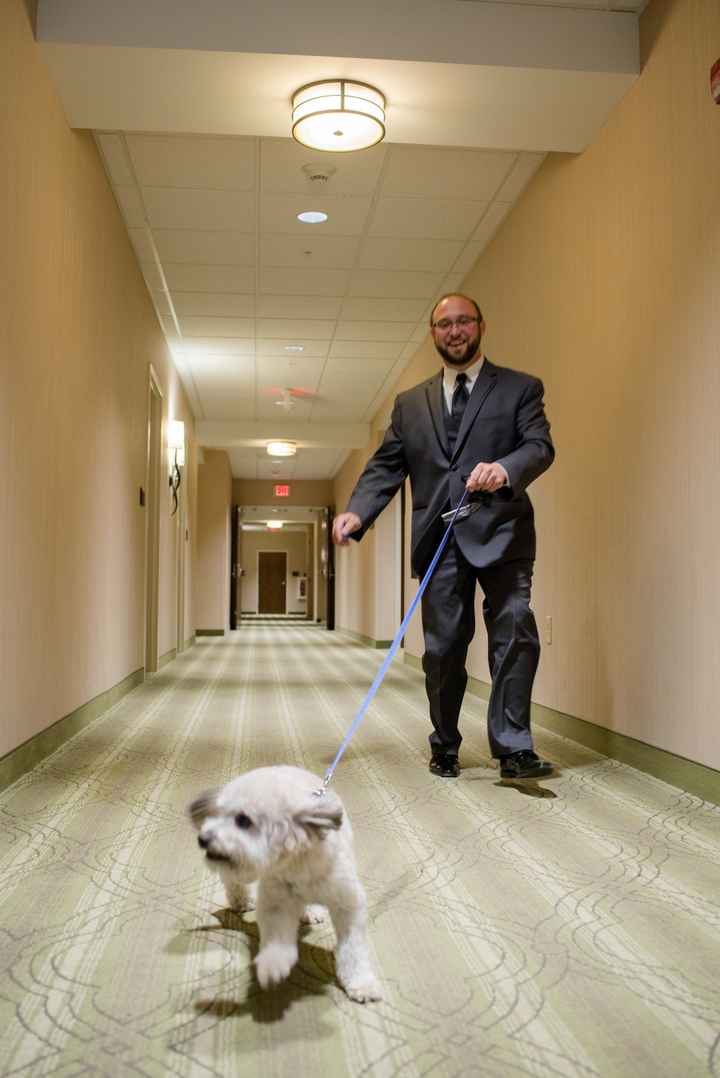 Pro-BAM - finally....