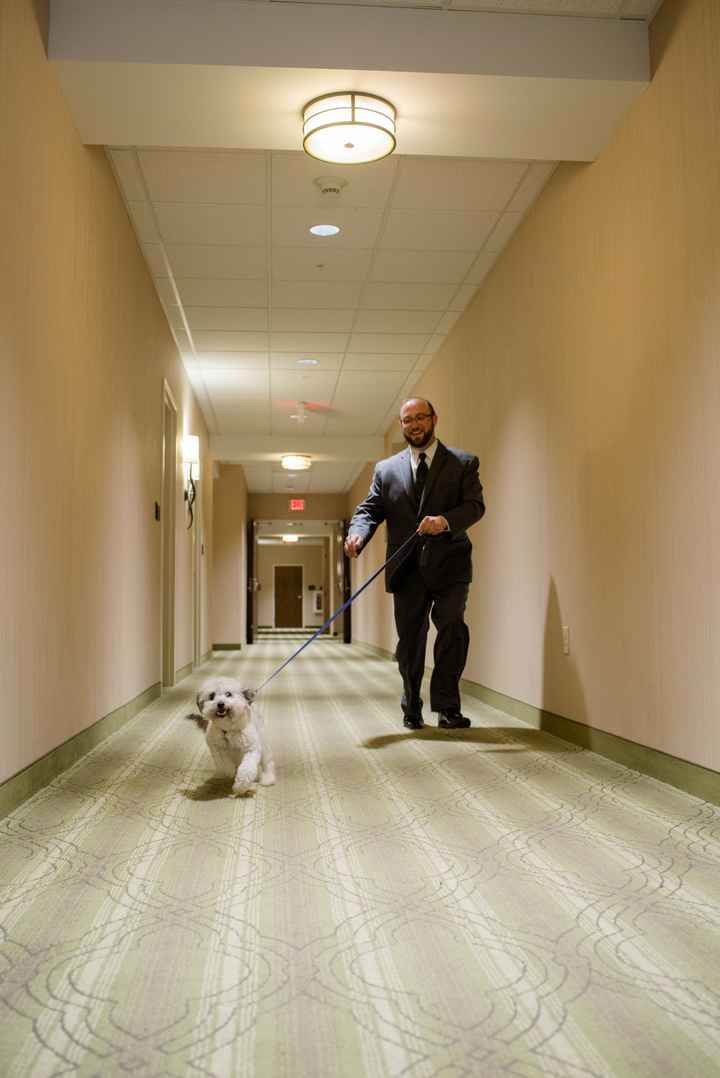 Pro-BAM - finally....