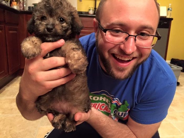 BAM: Winter Surprise Puppy Wedding - non-pro