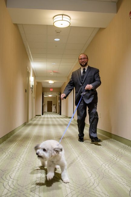 Pro-BAM - finally....