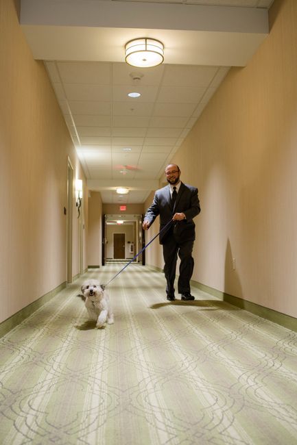 Pro-BAM - finally....