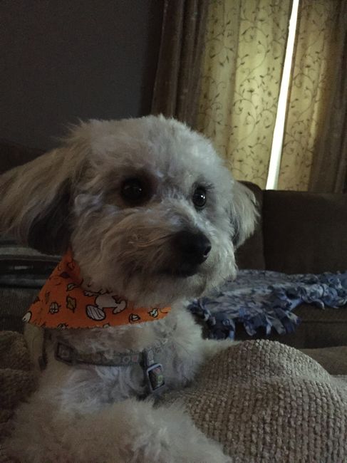 NWR: What's your favorite gift you've received from your significant other?