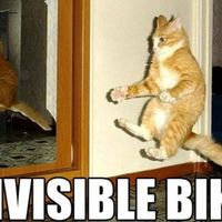 Really crappy day :(