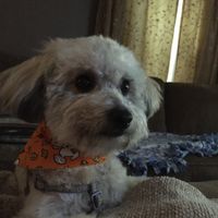 NWR: What's your favorite gift you've received from your significant other?