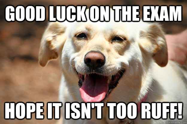 Wedding Wire love to Happy in Hawaii!!