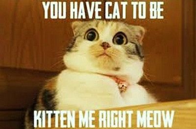 The date can't be right