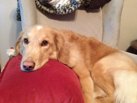 NWR-- IT's A BOY!! :)