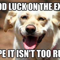 Wedding Wire love to Happy in Hawaii!!