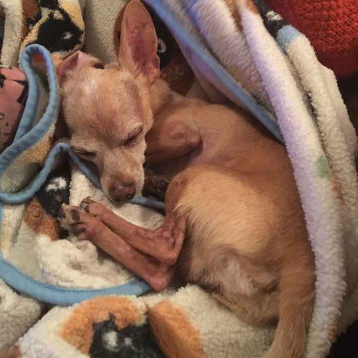 The line of 1000+ people