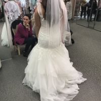 I SAID YES TO THE FREAKIN' DRESS!!