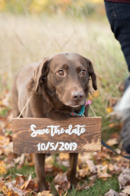 Save the date sign 2