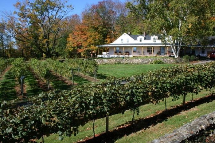 gilmanton winery