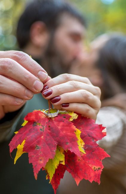 Shameless ring post 4