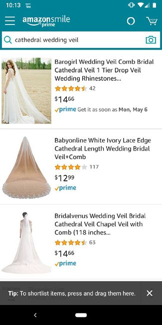 Wedding Veil  help 2