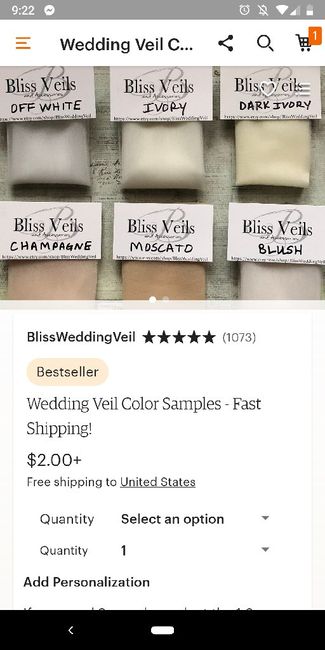 Where did you get your veil - and what color was it?? 1