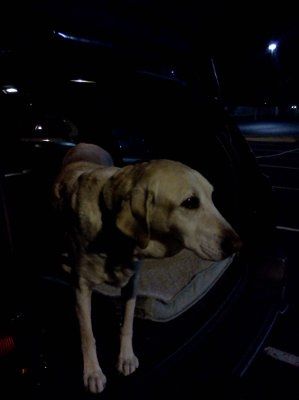 NWR: Show off your fur baby!