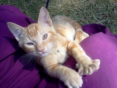 NWR: Show off your fur baby!