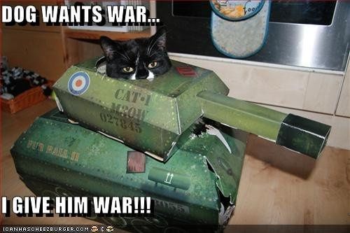 SINCE WE ARE STUCK WITH SPAM...HOW ABOUT CATS